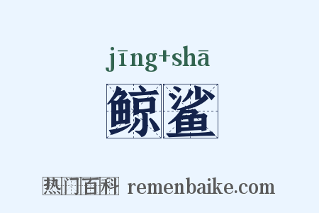鲸鲨是什么意思的图片